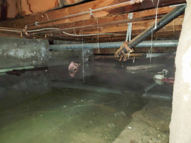 Best 24/7 water damage repair  in Crescent City, CA