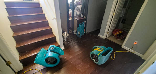Best Professional water damage repair  in Crescent City, CA
