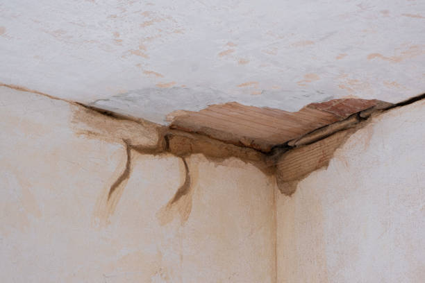 Best Residential water damage restoration  in Crescent City, CA