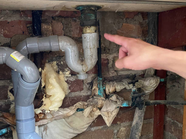 Best Water damage contractors near me  in Crescent City, CA