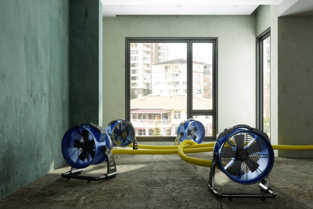 Best Water damage cleanup near me  in Crescent City, CA